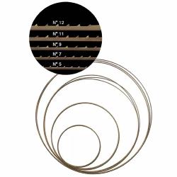 Lame pour scie à ruban PEGAS SRP8-DUAL